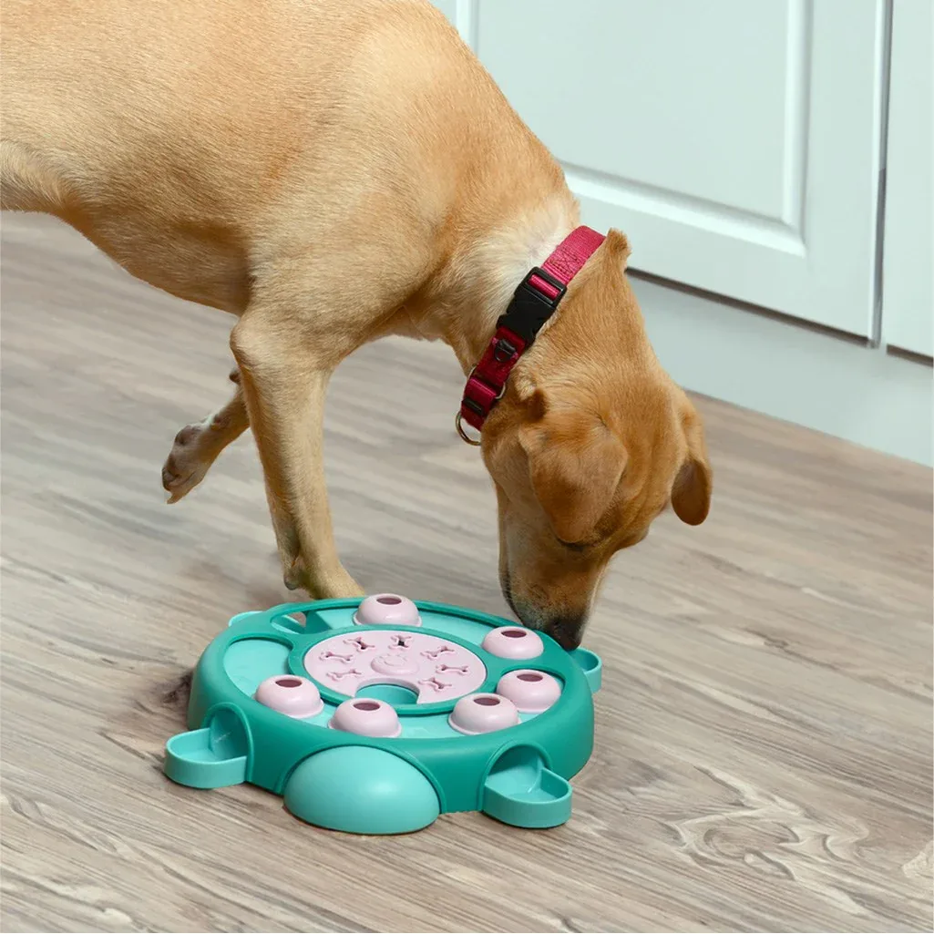 Interactive Dog Toy