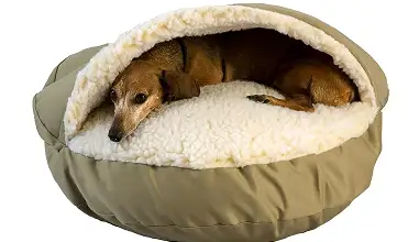Pet Bed